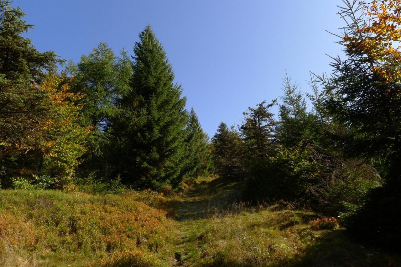 Hejnice Retreat Dış mekan fotoğraf