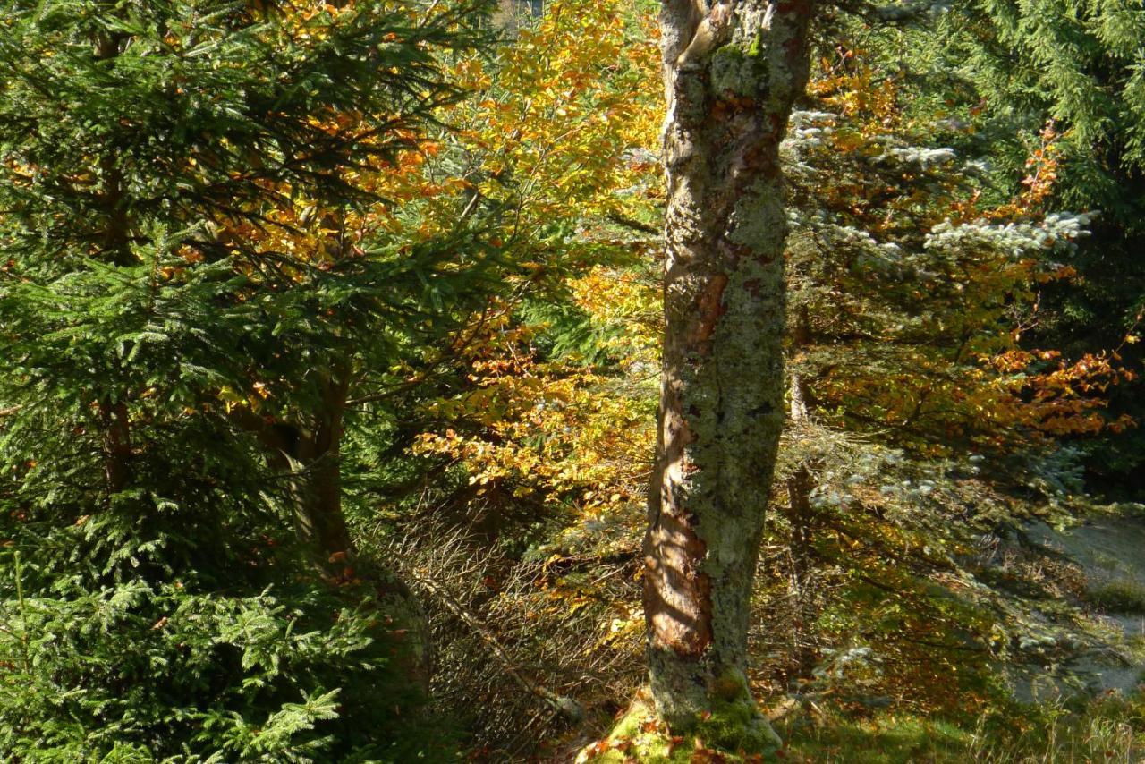 Hejnice Retreat Dış mekan fotoğraf