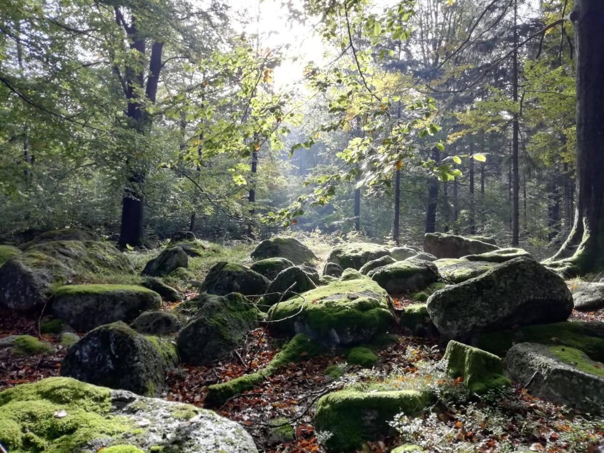 Hejnice Retreat Dış mekan fotoğraf