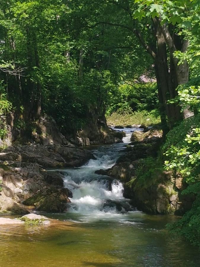 Hejnice Retreat Dış mekan fotoğraf