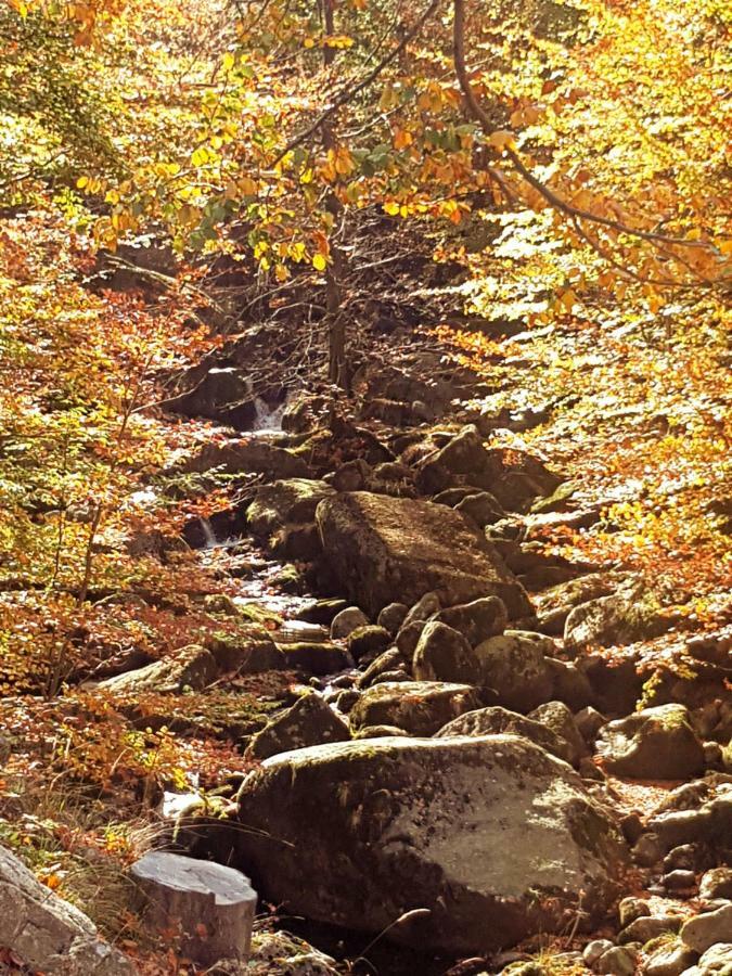 Hejnice Retreat Dış mekan fotoğraf